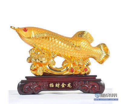 家里養(yǎng)什么龍魚招財(cái)（家里養(yǎng)什么魚最招財(cái)） 龍魚百科 第2張