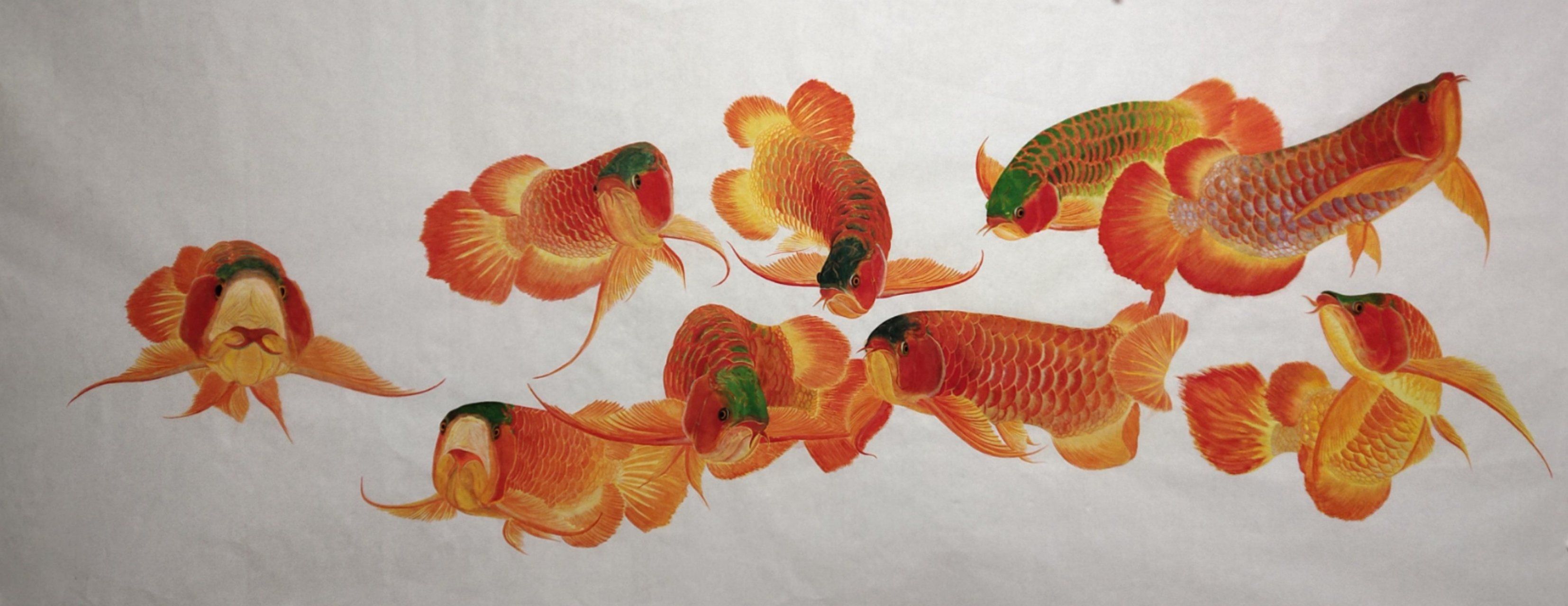 紅龍魚(yú)怎么畫(huà)小的還是大的（紅龍魚(yú)怎么畫(huà)？） 龍魚(yú)百科 第3張