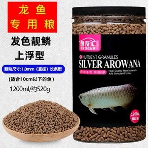 50厘米銀龍魚(yú)吃什么飼料最好（銀龍魚(yú)吃什么飼料最好）