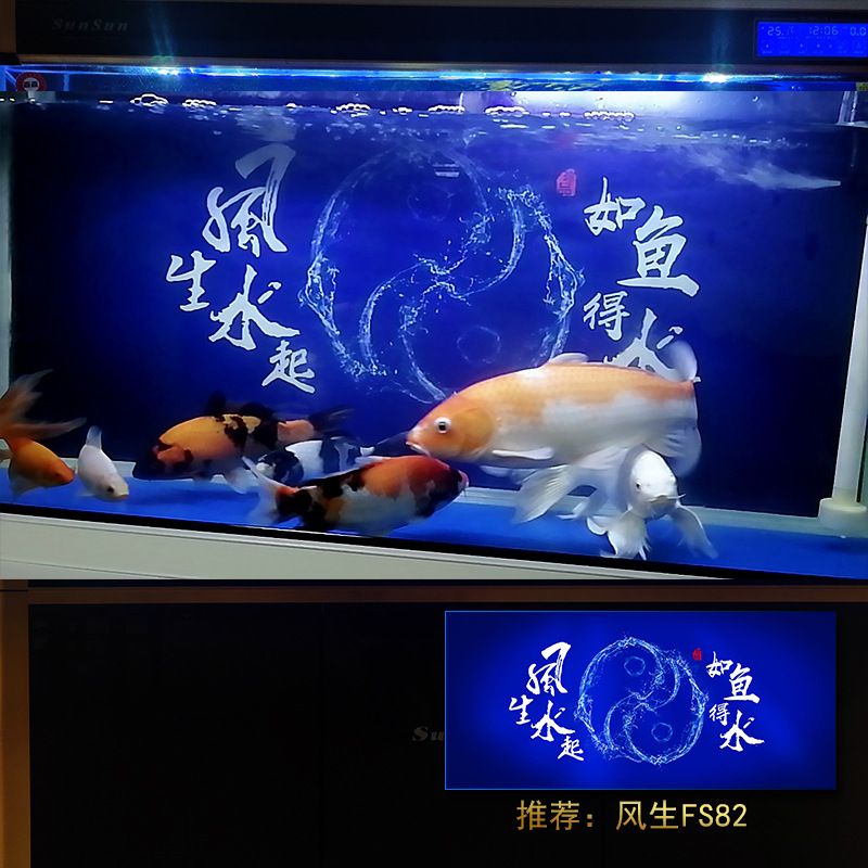 紅龍魚魚缸背景（關(guān)于紅龍魚魚缸背景的關(guān)鍵點(diǎn)：深色背景對紅龍魚的發(fā)色有好處） 龍魚百科 第2張