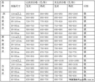 大型金龍魚價格表最新版（大型金龍魚價格表）