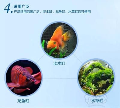 除藻劑對(duì)龍魚有害嗎（除藻劑對(duì)魚有害嗎）