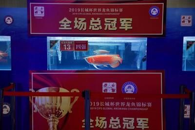 2024世界龍魚錦標賽成績單（2019“長城杯”世界龍魚錦標賽成績公布） 龍魚百科 第3張