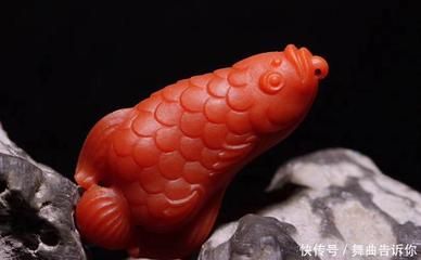 雕刻金龍魚的寓意（金龍魚的寓意和象征）