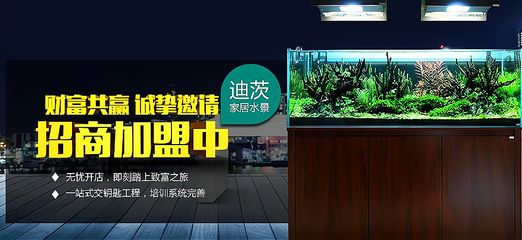 水族館加盟找祥龍魚場怎么樣（水族館加盟_水族館加盟費(fèi)查詢網(wǎng)賺錢超級簡單）