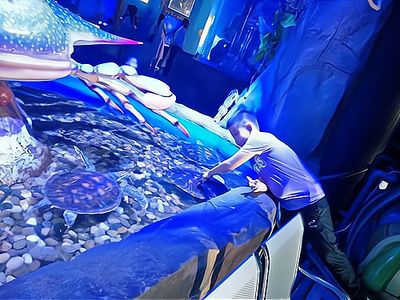 水族館加盟找祥龍魚場怎么樣（水族館加盟_水族館加盟費(fèi)查詢網(wǎng)賺錢超級簡單） 龍魚百科 第4張