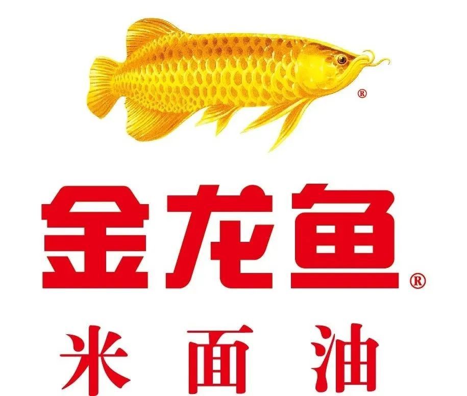 杭州金龍魚總代理電話（如何找到杭州金龍魚總代理的電話） 龍魚百科 第2張