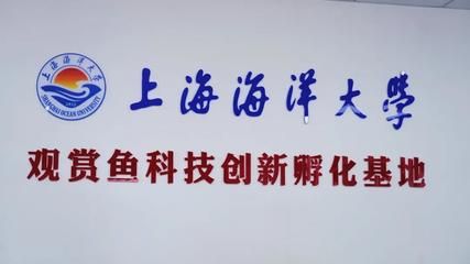 國內(nèi)紅龍魚繁殖基地（國內(nèi)有沒有紅龍魚繁殖基地？）