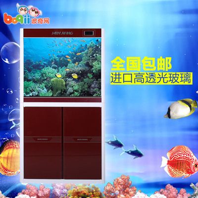 大型龍魚缸過濾器怎么用（大型龍魚缸過濾器使用方法） 龍魚百科 第2張