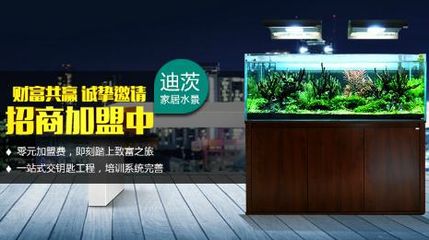 祥龍魚場水族館加盟條件（“祥龍魚場水族館”加盟條件） 龍魚百科 第7張