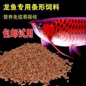 紅龍魚肉可以吃嗎（紅龍魚是否可以食用？） 龍魚百科 第5張