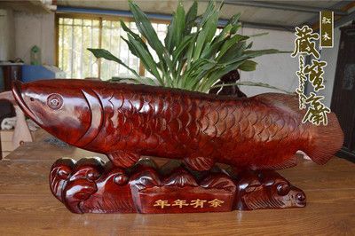 紅龍魚(yú)配什么魚(yú)招財(cái)（紅龍魚(yú)配什么魚(yú)好） 龍魚(yú)百科 第4張