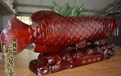 紅龍魚(yú)配什么魚(yú)招財(cái)（紅龍魚(yú)配什么魚(yú)好） 龍魚(yú)百科 第6張