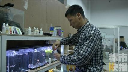 西安魚缸定制祥龍魚場在哪（祥龍魚場在西安提供魚缸定制服務(wù)） 龍魚百科 第5張