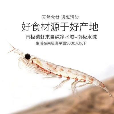 多大的銀龍魚可以吃小魚飼料（銀龍魚吃什么飼料最好） 龍魚百科 第1張