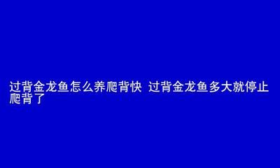 過背金龍魚多大就停止爬背了（過背金龍魚停止爬背的大致年齡）