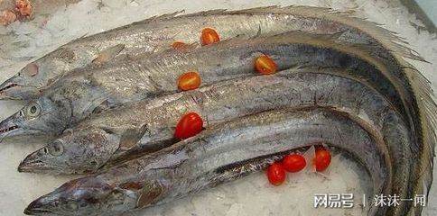 干海龍魚怎么吃最好（干海龍魚干怎么吃效果好海龍魚干怎么吃效果好） 龍魚百科 第2張