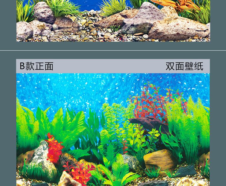 紅龍魚(yú)魚(yú)缸背景圖怎么選（養(yǎng)紅龍魚(yú)缸用什么背景好） 龍魚(yú)百科 第5張