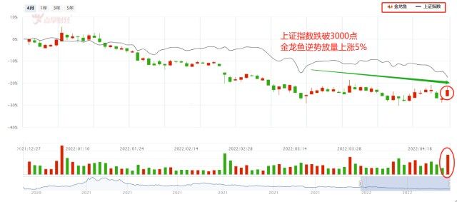 紅色金龍魚價格走勢分析最新圖（紅色金龍魚價格走勢分析）