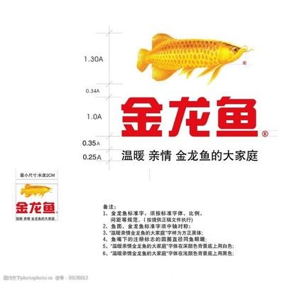 紅色金龍魚(yú)價(jià)格走勢(shì)分析最新圖（紅色金龍魚(yú)價(jià)格走勢(shì)分析） 龍魚(yú)百科 第7張