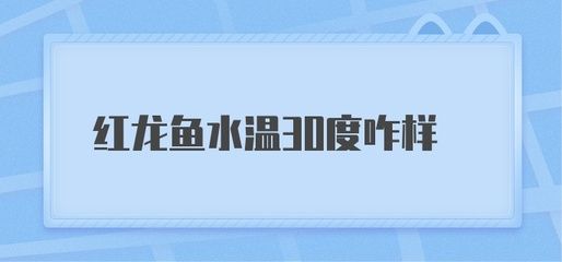 紅龍魚水溫30度咋樣（紅龍魚水溫30度可以嗎） 龍魚百科 第5張