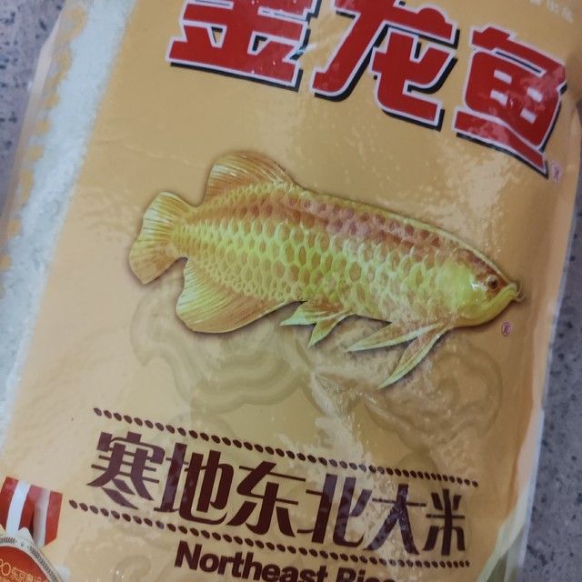 東北小金龍魚是什么魚種的（關(guān)于東北小金龍魚的一些問題） 龍魚百科 第2張