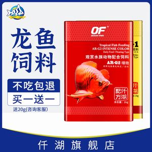 紅龍魚為什么不吃東西（紅龍魚不吃東西怎么辦） 龍魚百科 第7張