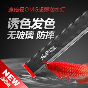 紅龍魚發(fā)色燈和增色燈（紅龍魚發(fā)色燈和增色燈在功能和用途上各有側重）