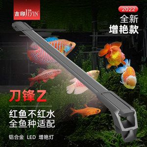 紅龍魚(yú)批發(fā)市場(chǎng)電話(huà)號(hào)碼 龍魚(yú)百科 第7張