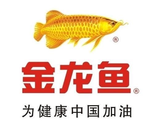 金龍魚 logo（金龍魚logo圖片素材免費下載金龍魚logo素材免費下載） 龍魚百科 第3張