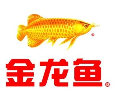 金龍魚 logo（金龍魚logo圖片素材免費下載金龍魚logo素材免費下載） 龍魚百科 第4張