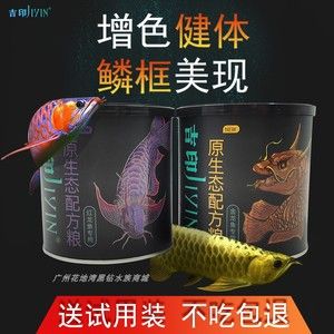 紅龍魚飼料配方比例（紅龍魚飼料配方及其比例） 龍魚百科 第5張