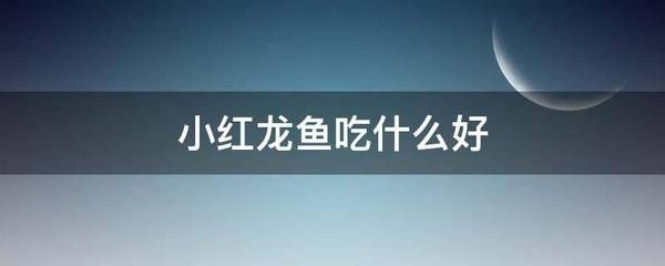 紅龍魚小魚如何挑選（如何挑選小紅龍魚） 龍魚百科 第5張