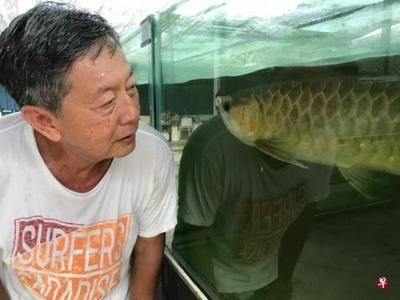 紅龍魚養(yǎng)殖基地（印尼紅龍魚養(yǎng)殖場考察龍魚繁殖基地考察龍魚繁殖基地圖文） 龍魚百科 第7張