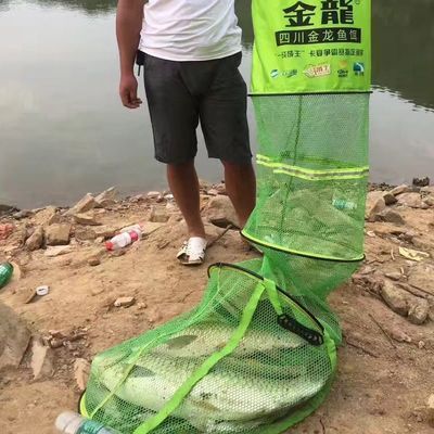 釣魚大咖金龍魚怎么釣（釣魚大咖金龍魚釣位怎么選）