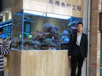 上海龍魚祥龍魚場地址（祥龍魚場在上海設(shè)立的代理分店） 龍魚百科 第5張