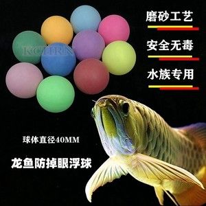 紅色的金龍魚(yú)好不好養(yǎng)活（養(yǎng)殖紅色金龍魚(yú)需要注意的問(wèn)題） 龍魚(yú)百科 第6張