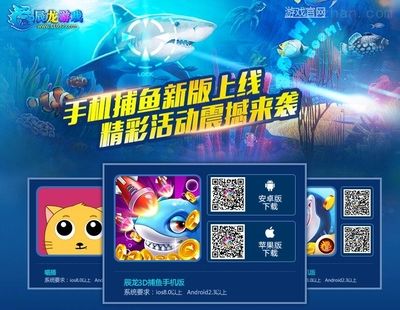 紅龍魚回收價格查詢（紅龍魚價格查詢） 龍魚百科 第5張