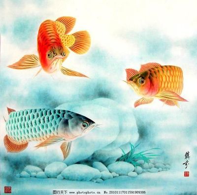 金龍魚 國畫（中國畫金龍魚作品欣賞） 龍魚百科 第6張