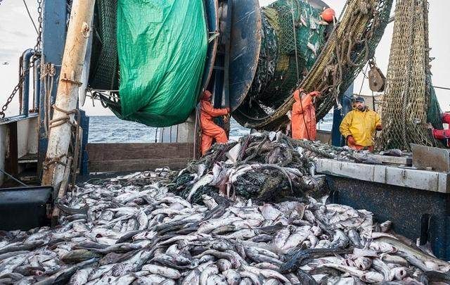 紅龍魚四大漁場排名第幾（紅龍魚四大漁場排名） 龍魚百科 第4張