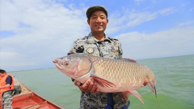 紅龍魚四大漁場排名第幾（紅龍魚四大漁場排名）