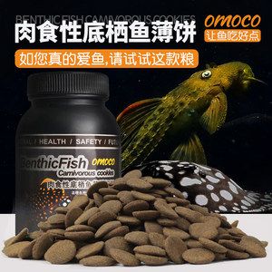 紅尾金龍魚吃什么飼料好（紅尾金龍魚吃什么飼料最好紅尾金龍魚吃什么飼料最好） 龍魚百科 第1張