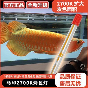 紅龍魚缸燈最佳擺放：紅龍魚燈光的選擇和使用方法