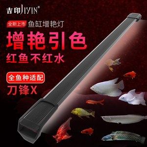 紅龍魚缸燈最佳擺放：紅龍魚燈光的選擇和使用方法