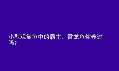 紅龍魚可以養(yǎng)幾年嗎：紅龍魚一般壽命多長時間，能活多久？ 龍魚百科 第5張