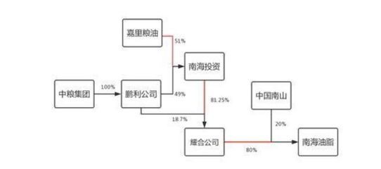 金龍魚背后資本：揭秘“金龍魚”背后的資產(chǎn)過千億的神秘家族 龍魚百科 第1張