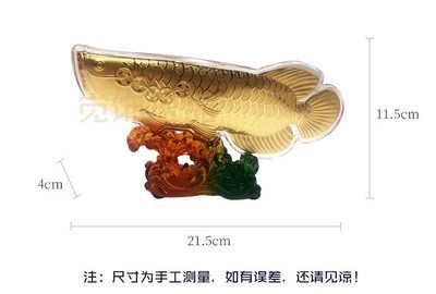 金龍魚尺寸怎么量圖解：如何測(cè)量金龍魚的尺寸 龍魚百科 第2張