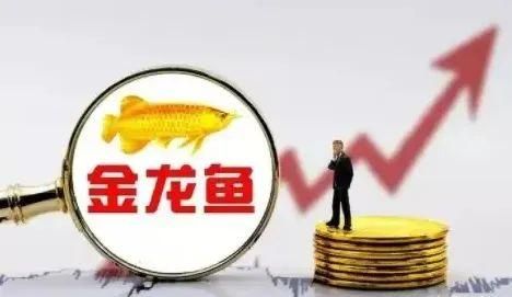 金龍魚尺寸怎么量圖解：如何測(cè)量金龍魚的尺寸 龍魚百科 第3張