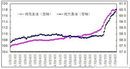 金龍魚尺寸分類圖：關(guān)于金龍魚尺寸分類圖的問(wèn)題 龍魚百科 第7張