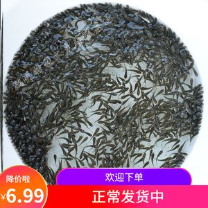 金龍魚吃泥鰍有什么好處：金龍魚吃泥鰍有什么好處龍魚吃泥鰍有什么好處和壞處 龍魚百科